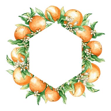 Suluboya portakal dalları ve çiçeklerle çerçevelenmiş. El çizimi beyaza izole edilmiş. Geometrik sınır doğal tasarım, etiket, simge, logo, düğün davetiyesi, tebrik kartı için mükemmeldir