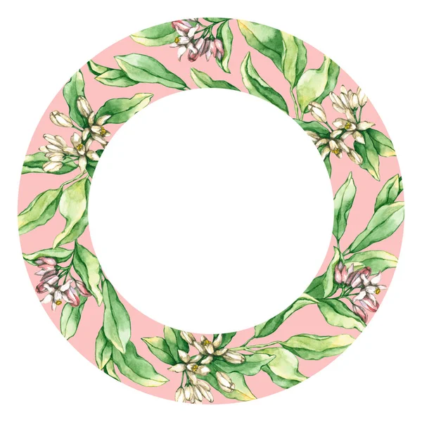 Round frame with watercolor lemon and orange flowers and leaves. Hand drawn illustration is isolated on white. Floral border is perfect for natural design, label, icon, logo, wedding invitation