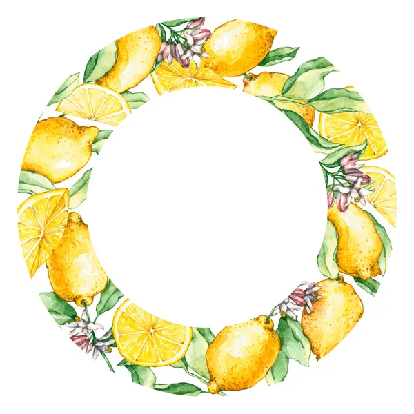 水彩レモンの枝とスライスとラウンドフレーム 手書きのイラストは白で隔離されています 黄色の果物は 自然なデザイン ラベル アイコン インテリアポスター スクラップブッキングに最適です — ストック写真