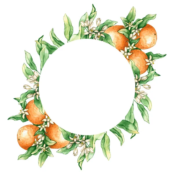 Rahmen Mit Orangefarbenen Zweigen Und Blumen Handgezeichnete Illustrationen Sind Isoliert — Stockfoto