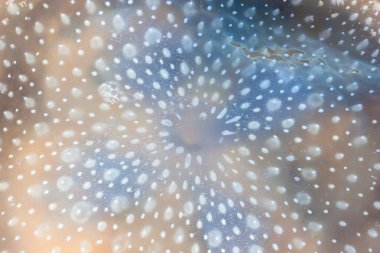 Denizanası yüzeyine arka planı için