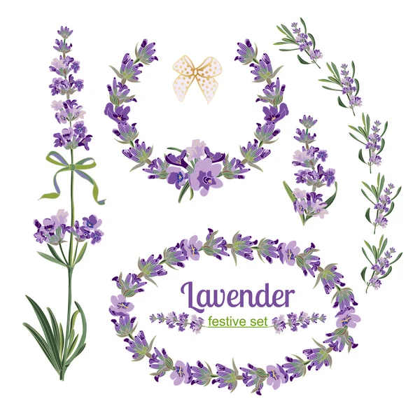 Defina molduras festivas e elementos com flores de lavanda para cartão de saudação. Ilustração botânica . —  Vetores de Stock