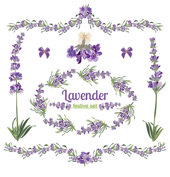 Defina molduras festivas e elementos com flores de lavanda para cartão de saudação. Ilustração botânica . — Vetor de Stock