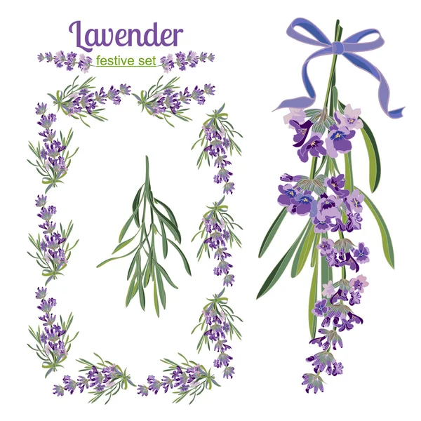 Conjunto de marcos festivos y elementos con flores de lavanda para tarjeta de felicitación. Ilustración botánica . — Vector de stock