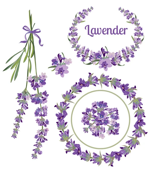 Feestelijke kaders en met lavendel bloemen voor wenskaart-elementen instellen Botanische illustratie. — Stockvector