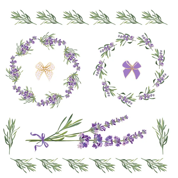 Defina molduras festivas e elementos com flores de lavanda para cartão de saudação. Ilustração botânica . — Vetor de Stock