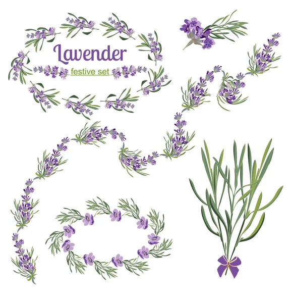 Conjunto de marcos festivos y elementos con flores de lavanda para tarjeta de felicitación. Ilustración botánica . — Vector de stock