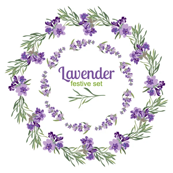 Set cornici festive ed elementi con fiori di lavanda per biglietto di auguri. Illustrazione botanica . — Vettoriale Stock