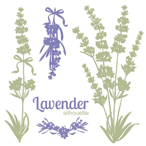 ラベンダーの花のシルエットのセット — ストックベクタ