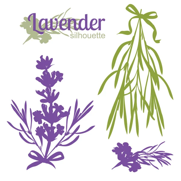 Conjunto de siluetas de flores de lavanda — Vector de stock