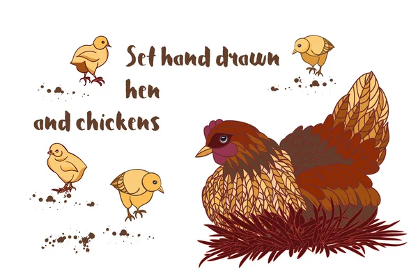 手描き下ろし鶏、鶏、鶏を設定します。 — ストックベクタ