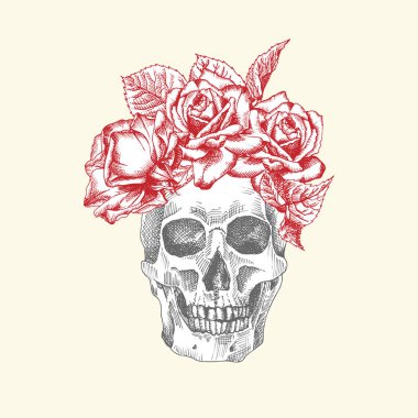 Elle çizilmiş insan kafatası ve çiçek çelengi. Kırmızı güller Siyah Grafik Sanatı karakteri beyaz arka planda izole edilmiş. Eski tarz. Vektör