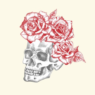 Elle çizilmiş insan kafatası ve çiçek çelengi. Kırmızı güller Siyah Grafik Sanatı karakteri beyaz arka planda izole edilmiş. Eski tarz. Vektör
