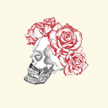El çizimi, sakallı ve bıyıklı insan kafatası ve çiçek çelengi. Kırmızı güller Siyah Grafik Sanatı karakteri beyaz arka planda izole edilmiş. Eski tarz. Vektör