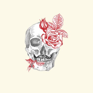 Elle çizilmiş insan kafatası ve çiçek çelengi. Kırmızı güller Siyah Grafik Sanatı karakteri beyaz arka planda izole edilmiş. Eski tarz. Vektör