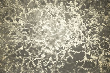 Güzel sanatsal Vintage Bitki dokusu. Grunge doğa çiçekli soyut arka plan. Sevimli aile fotoğrafları, atmosferik çocuk portreleri ve insanları sevmek için son moda photoshop arka planı