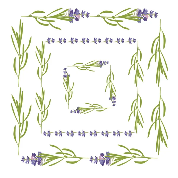 Set violett Lavendel schöne florale Rahmen Vorlage in flachem Aquarell-Stil isoliert auf weißem Hintergrund für dekoratives Design, Hochzeitskarte, Einladung, Reiseflyer. Botanische Illustration — Stockvektor