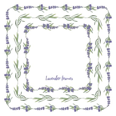 Mor Lavanta desenlerini dekoratif tasarım, düğün kartı, davetiye, seyahat flayer için beyaz zemin üzerinde izole edilmiş vektör suluboya tarzında ayarlayın. Botanik illüstrasyon