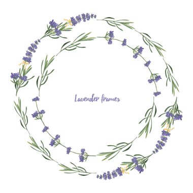 Mor Lavanta desenlerini dekoratif tasarım, düğün kartı, davetiye, seyahat flayer için beyaz zemin üzerinde izole edilmiş vektör suluboya tarzında ayarlayın. Botanik illüstrasyon