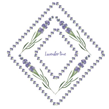 Mor Lavanta desenlerini dekoratif tasarım, düğün kartı, davetiye, seyahat flayer için beyaz zemin üzerinde izole edilmiş vektör suluboya tarzında ayarlayın. Botanik illüstrasyon