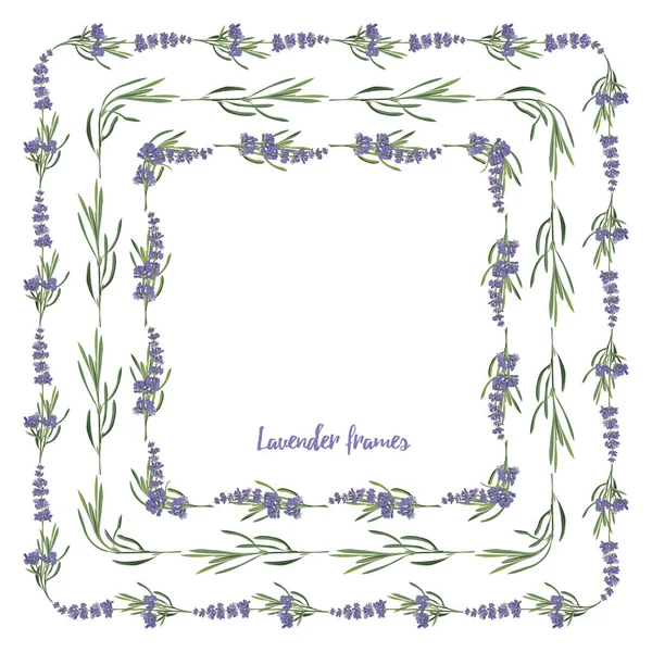 Conjunto de lavanda violeta modelo de molduras florais bonitas em estilo de aquarela vetorial isolado no fundo branco para design decorativo, cartão de casamento, convite, flayer viagem. Ilustração botânica — Vetor de Stock