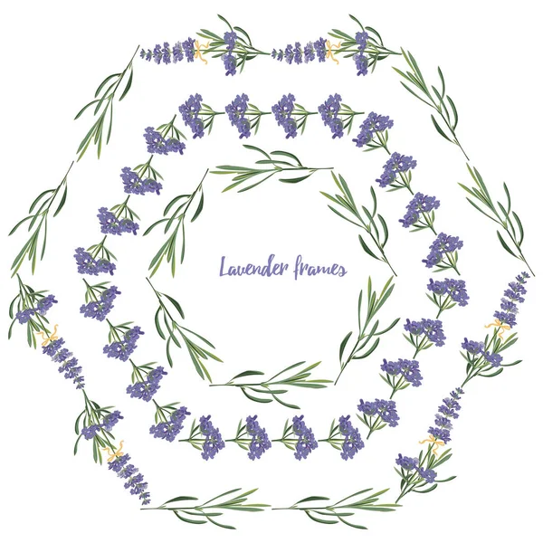 Set violett Lavendel schöne florale Rahmen Vorlage in Vektor-Aquarell-Stil isoliert auf weißem Hintergrund für dekoratives Design, Hochzeitskarte, Einladung, Reiseflyer. Botanische Illustration — Stockvektor