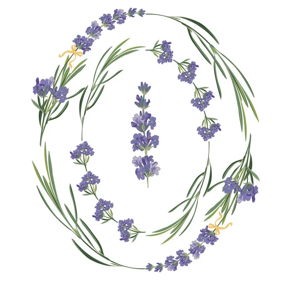 Set violet Lavendel mooie bloemen frames sjabloon in vector aquarel stijl geïsoleerd op witte achtergrond voor decoratief ontwerp, trouwkaart, uitnodiging, reizen flayer. Botanische illustratie — Stockvector