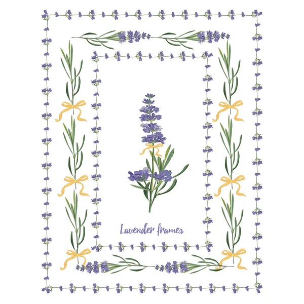 Set violet Lavendel mooie bloemen frames sjabloon in vector aquarel stijl geïsoleerd op witte achtergrond voor decoratief ontwerp, trouwkaart, uitnodiging, reizen flayer. Botanische illustratie — Stockvector