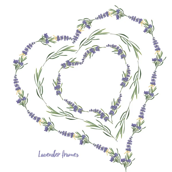 Set violett Lavendel schöne florale Rahmen Vorlage in Vektor-Aquarell-Stil isoliert auf weißem Hintergrund für dekoratives Design, Hochzeitskarte, Einladung, Reiseflyer. Botanische Illustration — Stockvektor