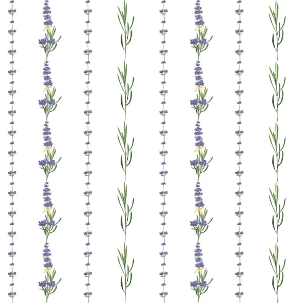 Seamless pattern with violet Lavender beautiful flower template in vector watercolor style isolated on white background for wedding card, invitation, travel flayer. Botanical illustration. — Stock Vector