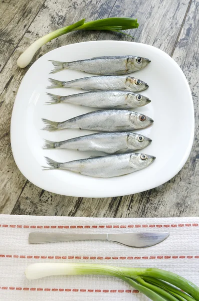 Pescado fresco en plato blanco —  Fotos de Stock