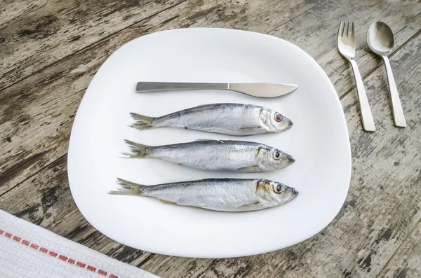Tres sardinas en plato blanco —  Fotos de Stock