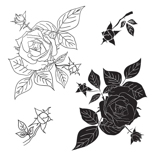 Vier schwarze und weiße Rosen. Vektorillustration. — Stockvektor