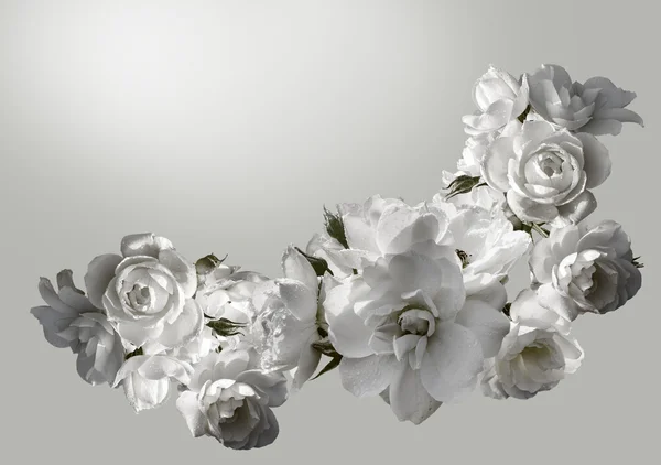 Bella cornice orizzontale con un bouquet di rose bianche con gocce di pioggia. Immagine tonificante in bianco e nero — Foto Stock