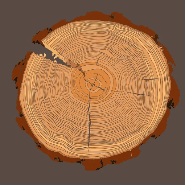 Anillos anuales de crecimiento de árboles con tonos marrones Dibujo de la sección transversal de un tronco de árbol — Archivo Imágenes Vectoriales