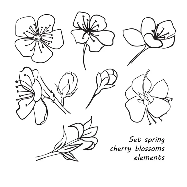 Conjunto de flores de flor de cerezo de primavera. Dibujo manual . — Archivo Imágenes Vectoriales