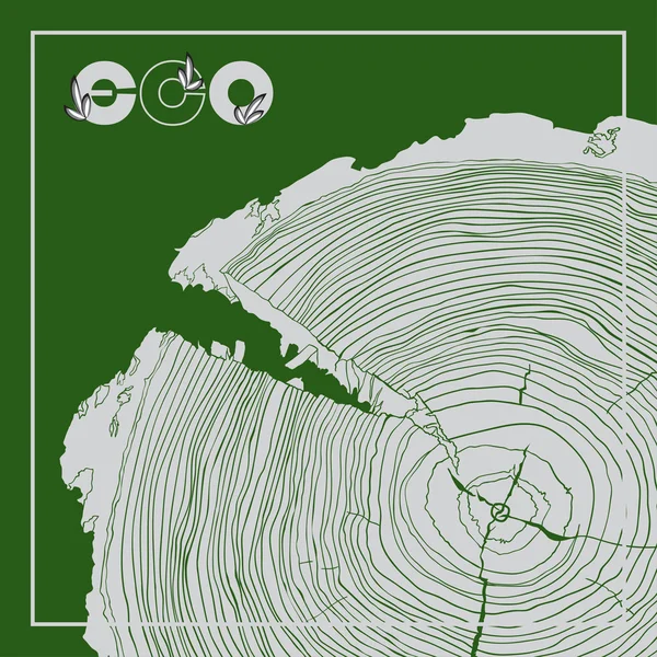 Плакат ECO с логотипом и ежегодными кольцами роста деревьев, серое сечение рисунка — стоковый вектор