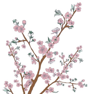 Beyaz çiçekli kiraz dal. Antika arka plan