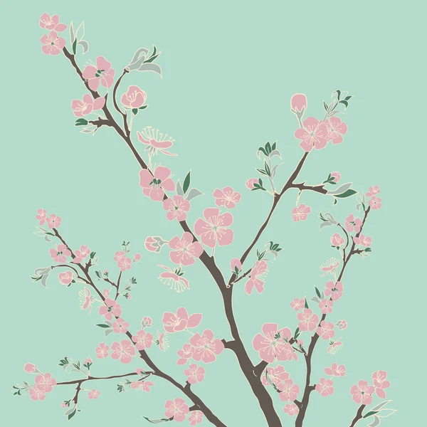 Flowering cherry branch.Vintage background — Stock Vector
