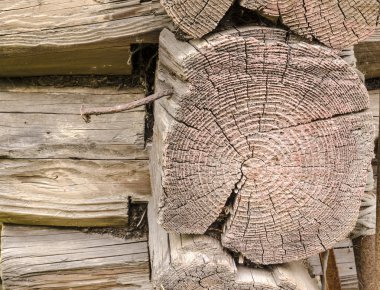 Yıllık halkalar ile eski ahşap günlüğünün ayrıntı