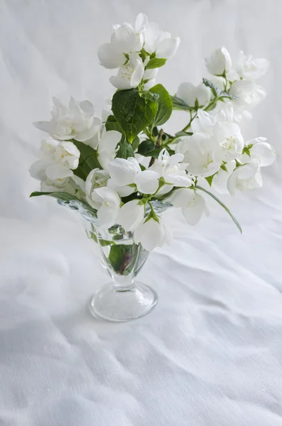 白い背景の上のガラスの花瓶でジャスミンの美しい花束くしゃくしゃリネン — ストック写真