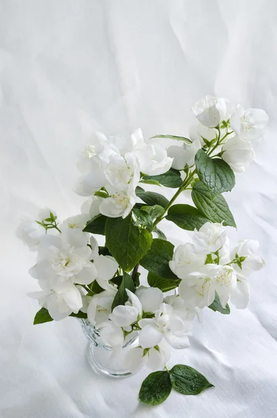 Schöner Jasminstrauß in Glasvase auf weißem Hintergrund zerknülltes Leinen — Stockfoto