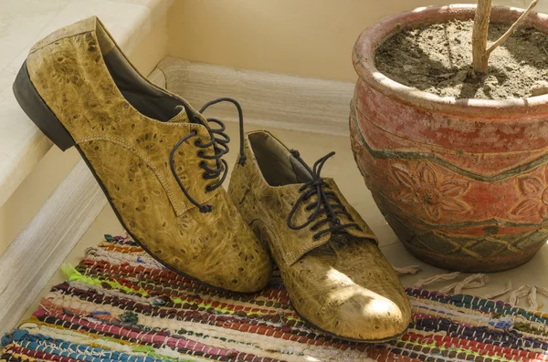 Bodegón con zapatos de hombre, maceta y alfombra tejida — Foto de Stock