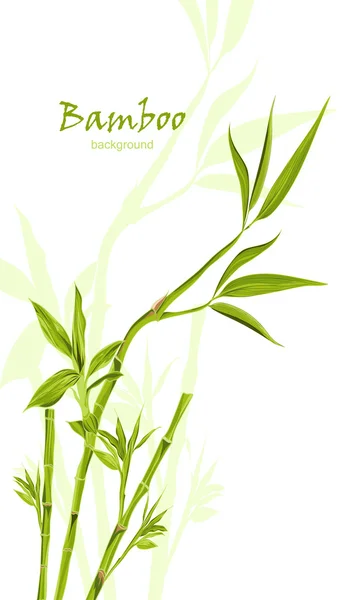 手绘绿色竹免费与文本的空间 — 图库矢量图片