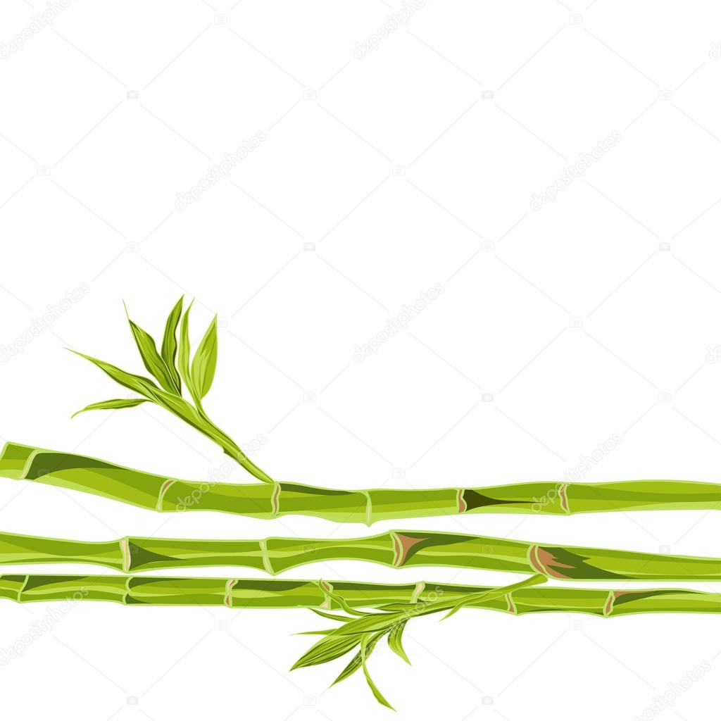 Hand-drawn green bamboo bacground with space for text