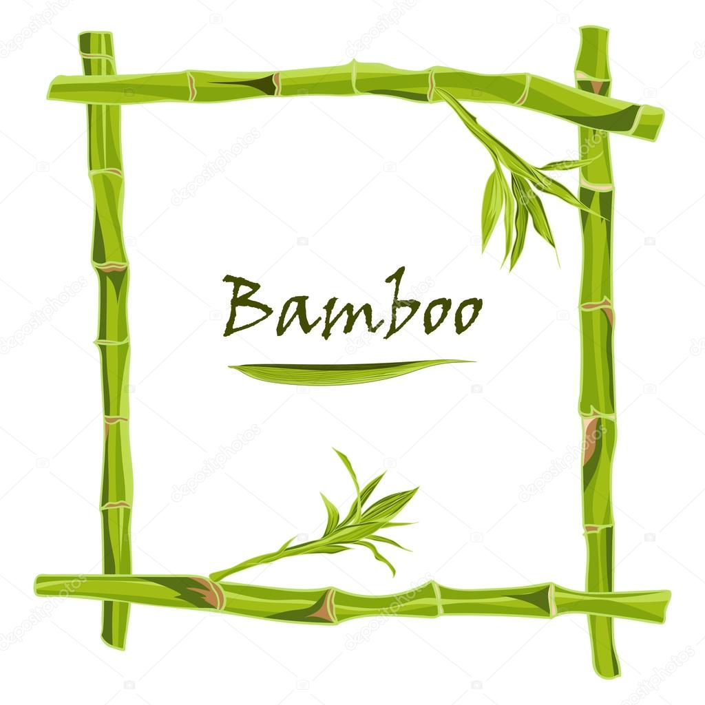 Hand-drawn green bamboo frame with space for text