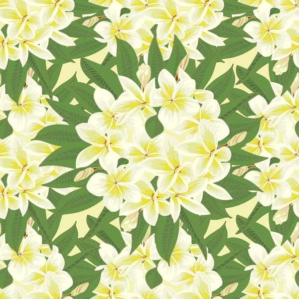 Flores frangipani seamles fondo con hojas en estilo realista dibujado a mano — Vector de stock