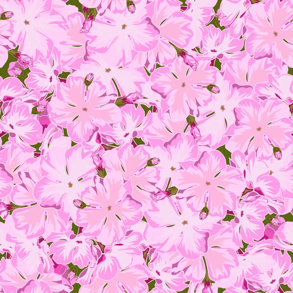 現実的な手描きスタイルのシームレス花柄ピンクのフロックス背景. — ストックベクタ