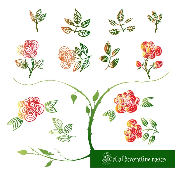 Conjunto de elementos decorativos de color, rosas y hojas — Vector de stock