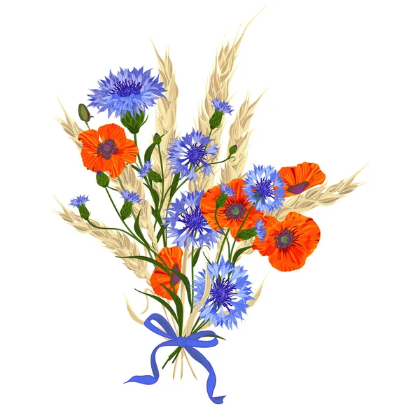 Mooi boeket van korenbloemen, papavers en tarwe spikelets, gebonden met satijnen lint — Stockvector